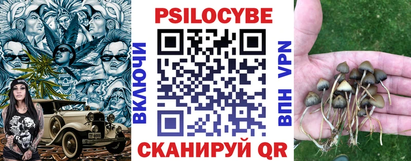 Псилоцибиновые грибы Psilocybe  сколько стоит  Тарко-Сале 